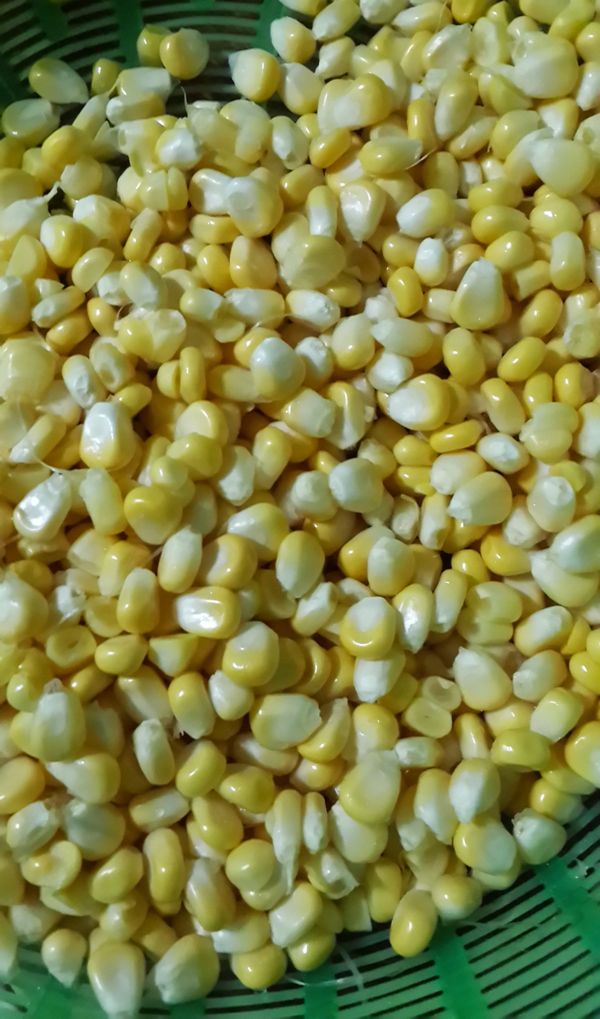 玉米剝成粒洗淨備用