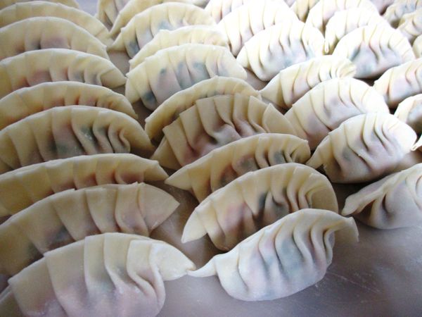 日式煎餃皮有大小和形狀之分，我用的是小型圓形的。如果買不到日式煎餃皮，可以用鍋貼皮或中式餃子皮試試。