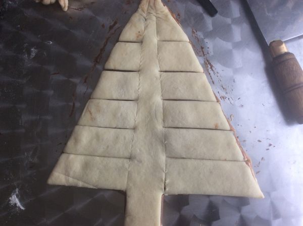 樹形修好後再動點小手腳來㛇點它。從樹幹到樹頂兩邊輕輕劃條線作記號，隔約一吋寛橫切一刀。