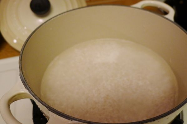 再將米倒入鑄鐵鍋，加入2又1/4水(米:水比例約1:1.1)，浸泡約半小時