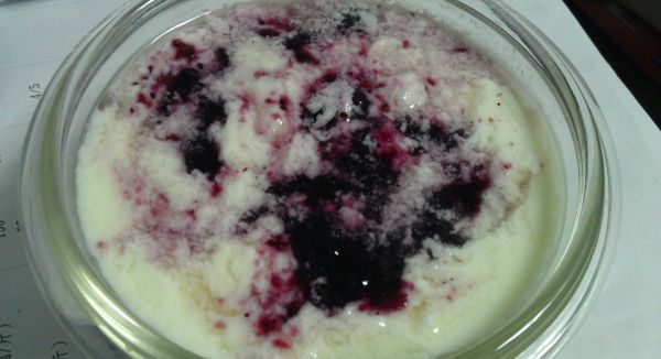 這是加入藍莓果醬口味