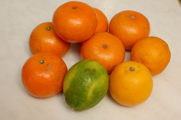 準備好所有水果，茂谷柑、柳橙以及檸檬(萊姆)