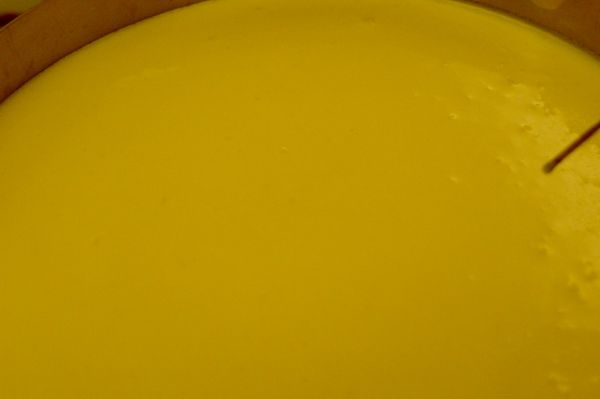 烤模輕輕搖晃使之平整，如有些許氣泡，可以竹籤或探針刺破