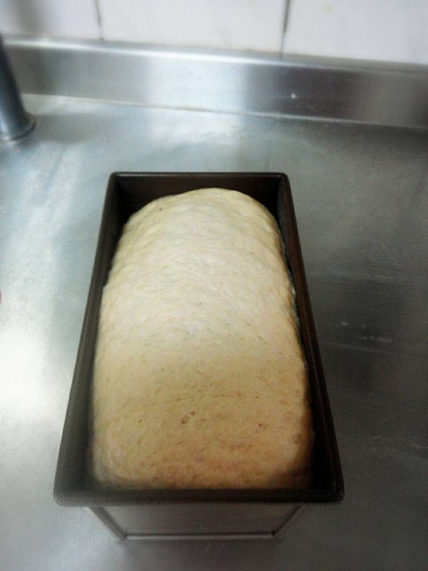 二次發酵結束後,將吐司模蓋子蓋上,放入已預熱170度 ~ 190度的烤箱中,烘培30 ~ 35 分鐘