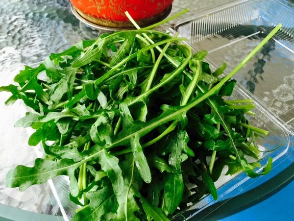 將生菜一葉葉攤放再碗底 灑上醬汁攪拌均勻後 灑入起士.堅果 再將烤洋芋片擺在上層即可