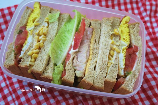 放入餐盒.野餐趣