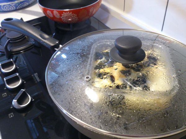 中小火滾至15分鐘(依照食材多寡與容器厚度斟酌時間)，蒸煮過程鍋蓋需保留些縫隙。