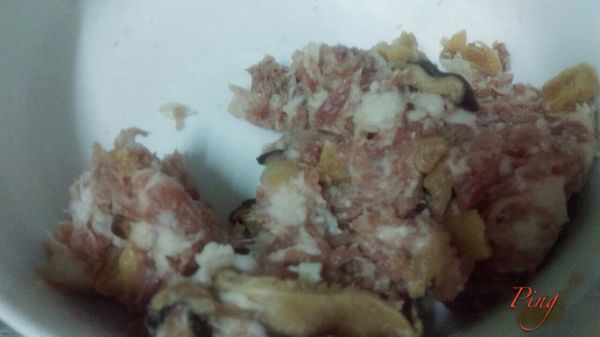 把絞肉放進已備好的鍋子，加入瓜仔、香菇薄片、少許酒搓揉勻後，
再加入一匙太白粉拌勻後，掌心抹點油！
用掌心（溫度）來搓肉丸子。搓揉成圓形。