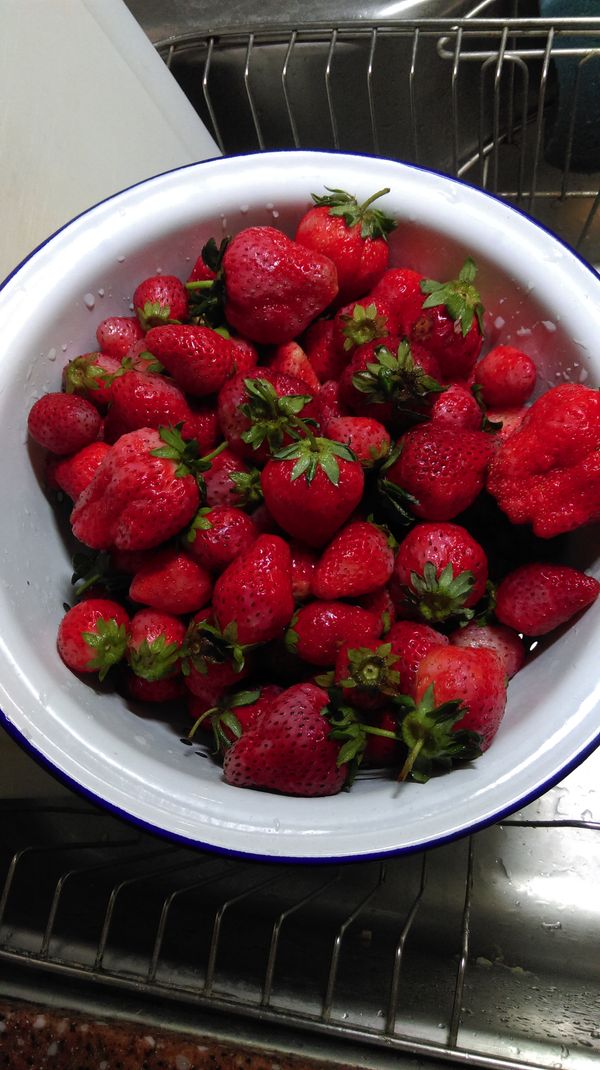 清洗後瀝乾並去除蒂頭，較大顆的草莓切半。