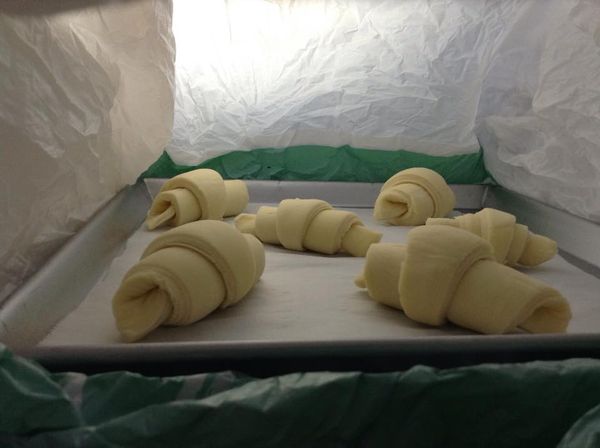 套上大袋子後，收口收好，整個放冰箱冷藏，這是寶貝們睡覺的樣子。