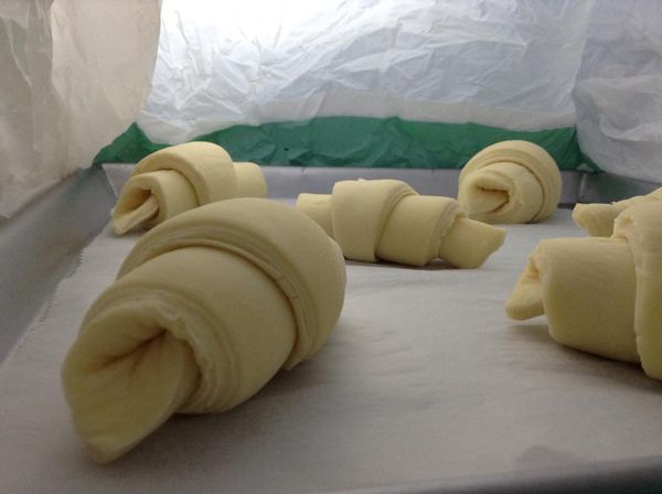 進行第二次發酵，約12小時至24小時。
這是冰了18小時的樣子。
約脹至原來的1.5倍即可。