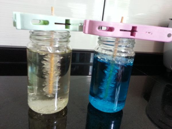 一個禮拜後， 享受晶糖棒吧～