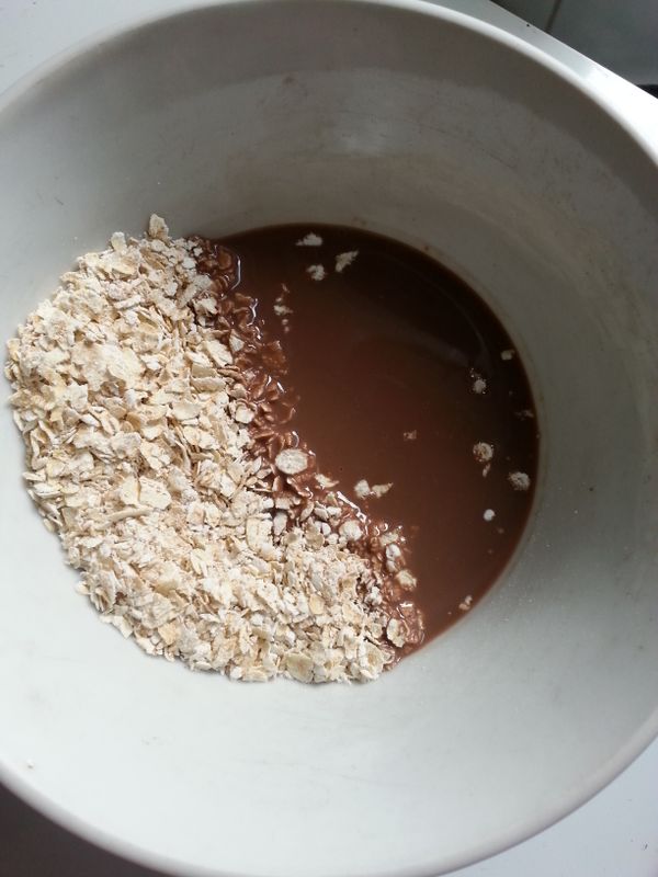 將即食燕麥片+巧克力牛奶放進同一碗裡後混合