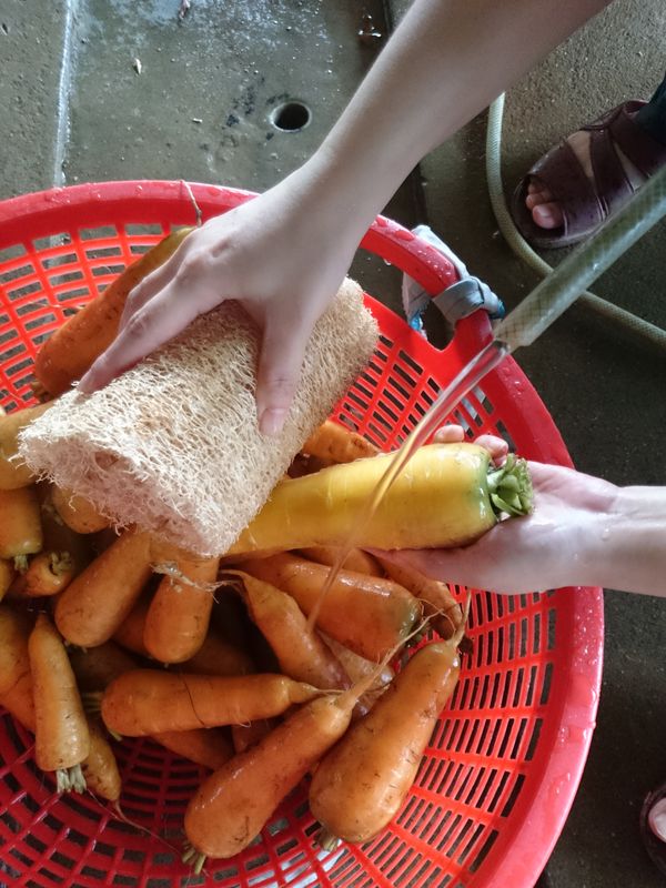 先用清水清一下表皮，菜瓜布是自己種在雞寮上，把乾掉的絲瓜取下來用的