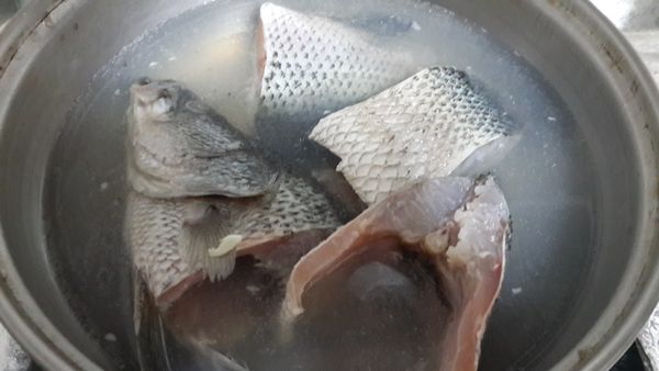 準備一鍋水將鱸魚川燙後洗淨去雜質