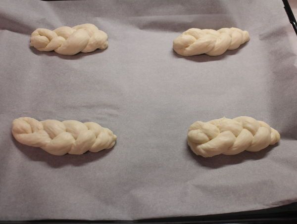 入烤盤上準備進行第二次發酵。烤箱內放一盤熱水，能讓發酵更快，麵團的溼度足夠。