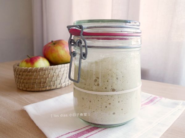 [第二階段作法] 放置約 4 至 8 小時，體積逐漸增加至 2 倍大，表示酵母餵養成功順利。趁著酵母活力正旺盛，可以馬上取用適量天然酵母來製作麵包。取用後剩下的天然酵母將進入第三階段持續餵養。