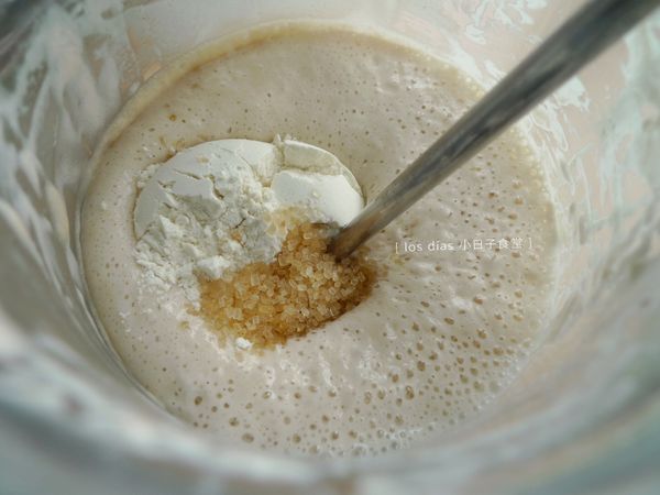 [第三階段作法] 此後早晚固定時間餵養適量的麵粉、水、與砂糖。