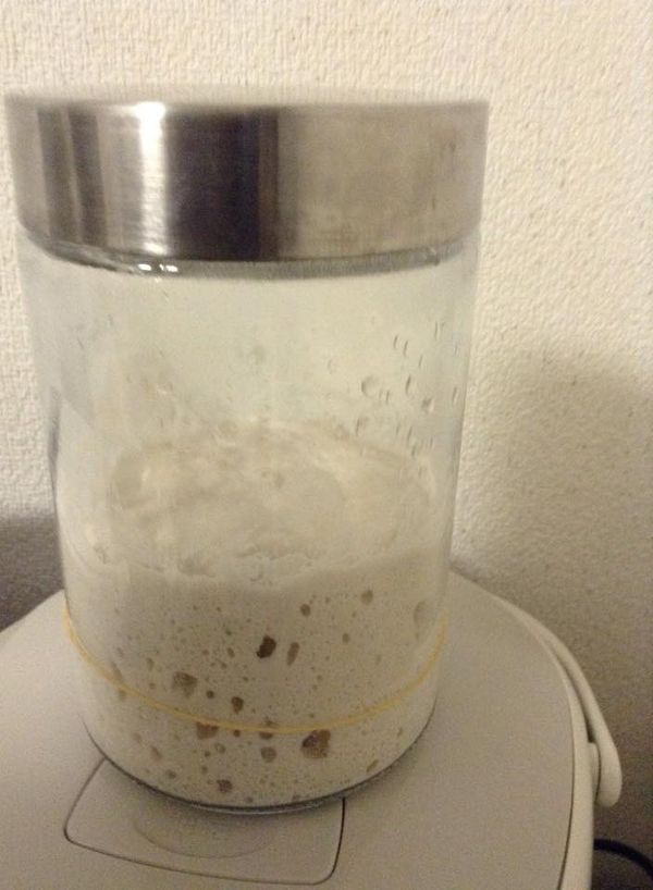 長大了，就可以發冰箱冷藏至隔天早上。