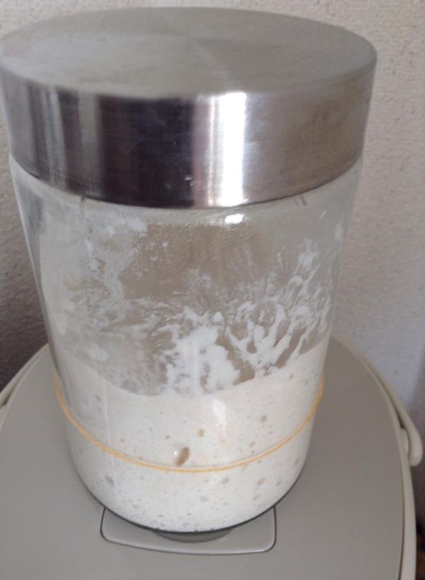 長大了，再放入冰箱。