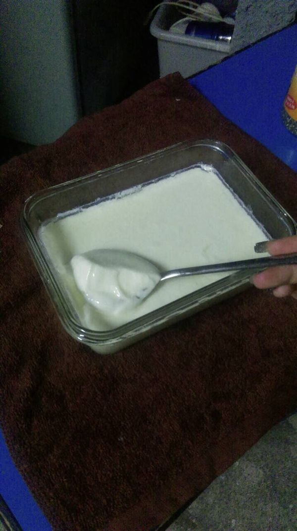 6小時後即可取出來，就變成好吃的優格囉！