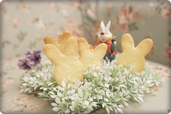 啊～～

可愛的兔子起士餅乾香香豐收囉^^"