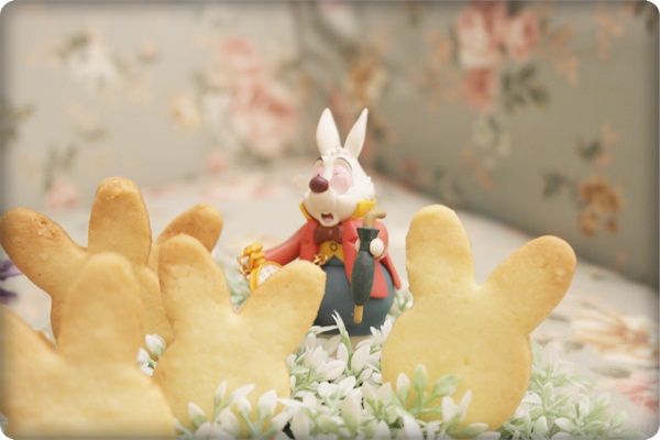 辛苦的兔子先生>///<