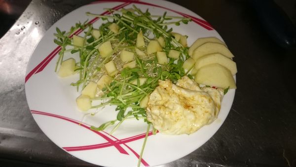 苜蓿芽‧綠豆芽．蘋果丁，剩下的蛋白煎熟，擺盤。