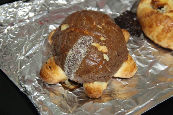 烏龜有點小爆漿，不過蠻搞笑的~哈