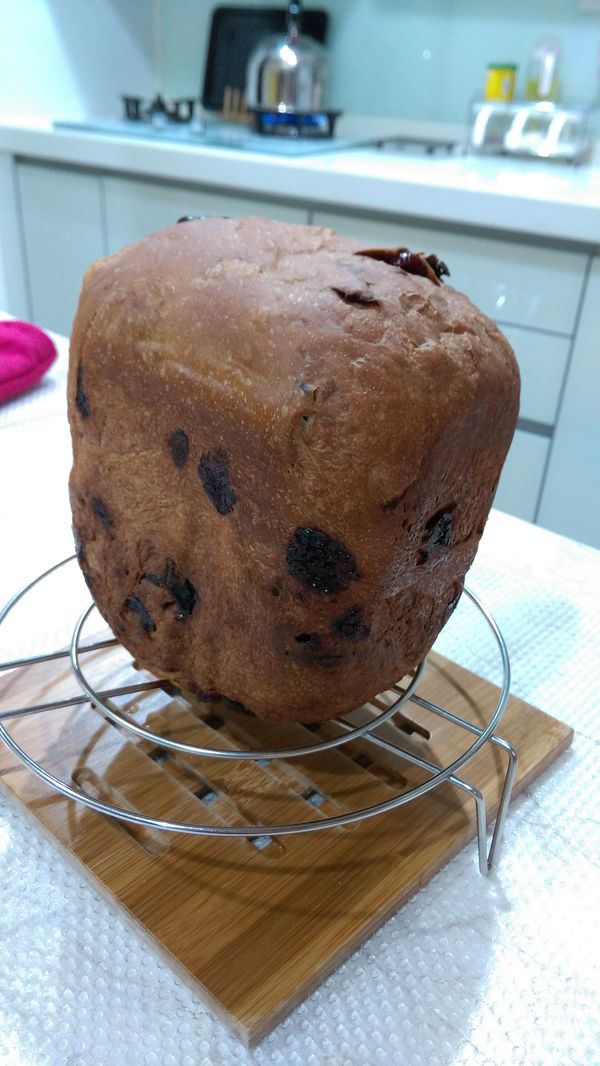 將吐司從容器取出來