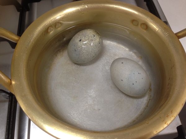 皮蛋煮到水滾再多煮一會，讓蛋黃凝固，之後沖水放涼用切蛋器切片