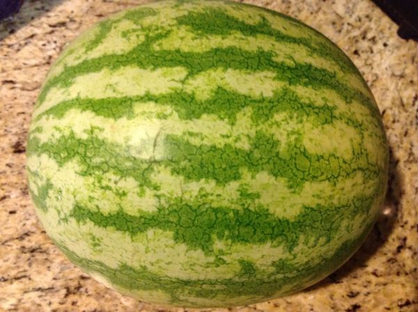 [西瓜:]準備1顆 Watermelon-中型圓西瓜