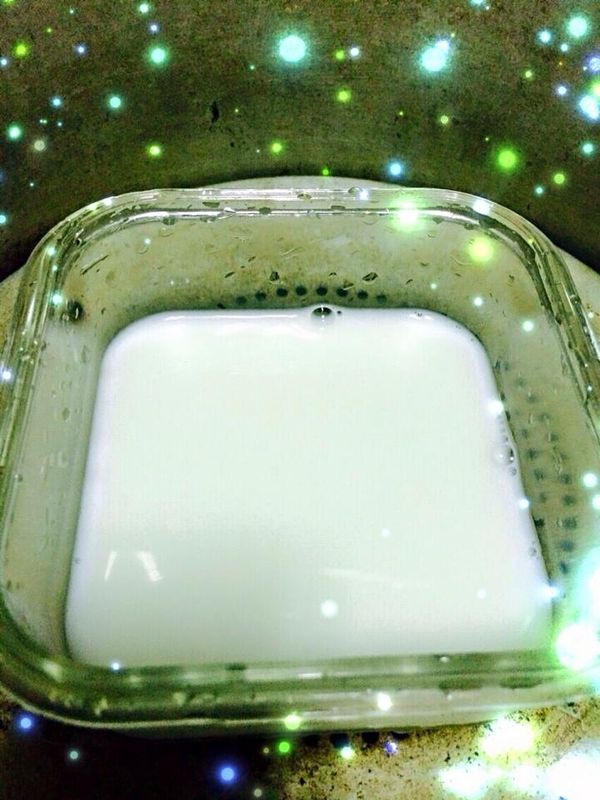 鮮奶及優酪乳倒入容器內再稍加攪拌，放入電鍋內。