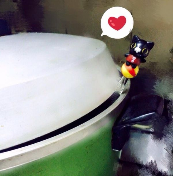 蓋上鍋蓋後，鍋緣放支筷子留空隙，插上電源按保溫鍵，靜置6一8小時。