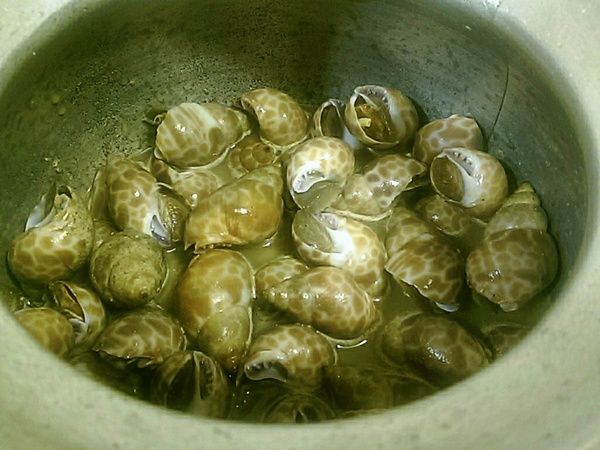 倒入胡椒醬汁需淹過鳳螺八分滿