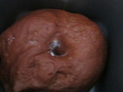 這邊是使用麵包機來製做麵糰，
徒手揉也是一種經驗，力氣花得多些但成就感更大^^
依照各廠牌麵包機的使用說明，
依序放入麵糰材料製做麵糰、等發酵完成！