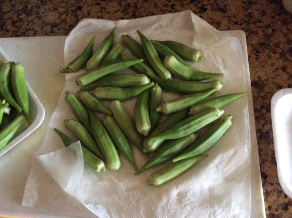 秋葵洗淨後用紙巾擦乾水分。