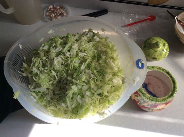 高麗菜切細絲，撒上少許鹽拌一拌，擠掉少許水分，備用。