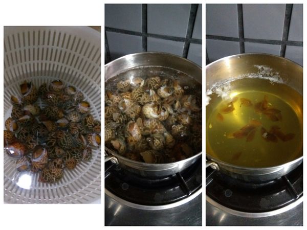 螺洗淨，燒一鍋水，燙煮5分鐘，螺口的蓋會自己掉下，把螺取出，洗淨，瀝乾水備用。