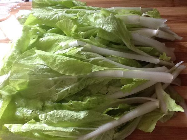 3.白菜可切段或整顆不切。