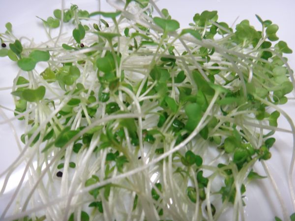 加入水芹菜，並混入美乃滋。