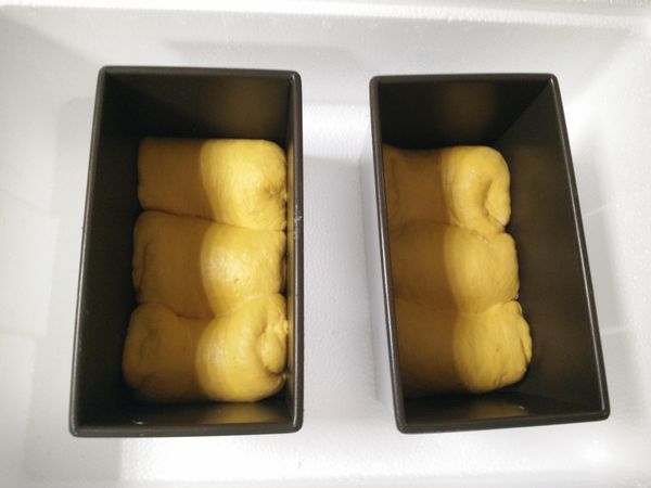 麵糰拍平然後桿成長條狀再捲起來3個一起放入土司模中用兩個拳頭壓一壓讓高度平均然後發酵60分鐘