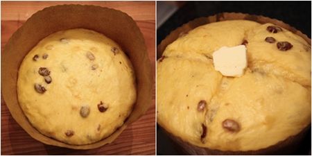 放入直徑18公分，高度10公分的模型中，上面再保鮮膜讓它發酵至跟模型平高的程度，接著開保鮮膜，放在通風的地方10-15分鐘，讓它的表面形成一層風乾的感覺，用刀在表面畫十字，放上一小塊奶油，放入預熱200度C的烤箱烤10-15分鐘後降至180度C接著繼續烤，總共要烤1小時，如果表面太焦就蓋上鋁箔紙．