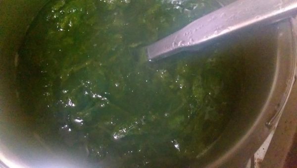 取一鍋加水...丟海菜下去煮滾