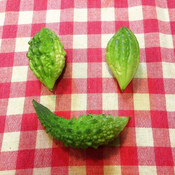 這是miki的先生好友家自家種的山苦瓜，跟一般市場的山苦瓜品種不同，除了size比較小...苦味比較重同時也比較脆!