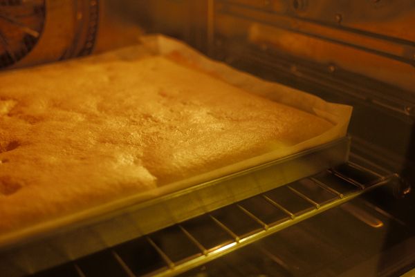 拌均勻的麵糊到入烤盤，且用小刮板盡量鋪平，輕敲兩三下把大氣泡敲出來。 ★送入烤箱以上火190℃，下火160℃烘烤約12分鐘。