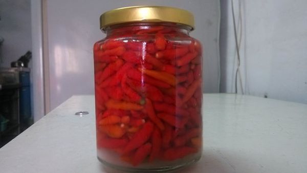 洗淨並擦乾或烘乾的玻璃罐放入約8分滿的小辣椒，上面舖上鹽至9分滿左右，倒入米酒至整罐小辣椒滿為止。
