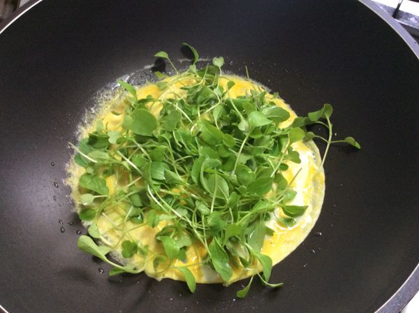 鋪上鮮採青江菜苗（自家種的，當然你可以隨自己的喜好加入任何芽菜）。