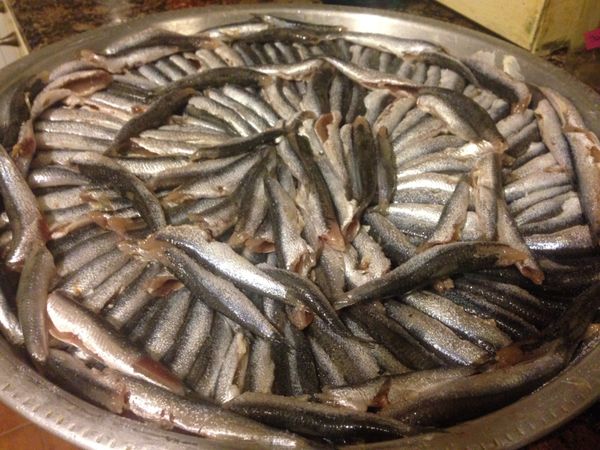 上面放上處理好的鯷魚，排列整齊，如圖，然後上面用鹽罐撒上鹽。這道菜最麻煩的就是要耐心的清理魚，因為魚小，所以費工費時。魚要一條一條的去頭去內臟，不過沒有想像的難，用手一剝就可以很容易的去掉頭連帶地摳掉內臟。不過有7，80條，也是件考驗耐心的工作就是了。