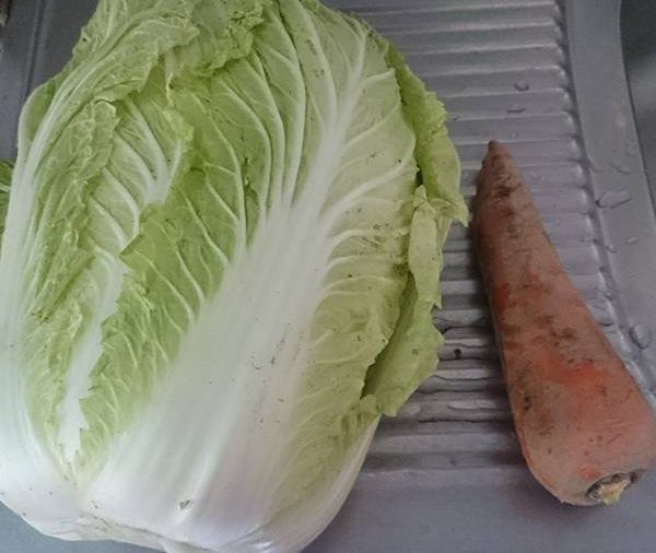 我用半顆大白菜